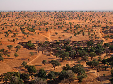 Die Landschaft nahe Bandiagara (Mali) zeigt eine Vielzahl an freistehenden Bäumen, die von bisherigen Baumzählungsmethoden nicht erfasst werden.