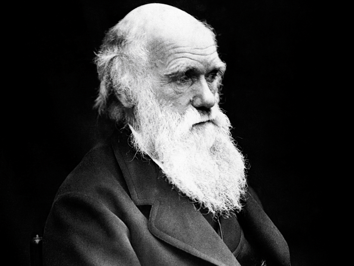 Darwin in old age before death