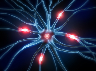 Grafisch Darstellung einer Synapse mit Nervenbahnen auf der Reize rot markiert sind.