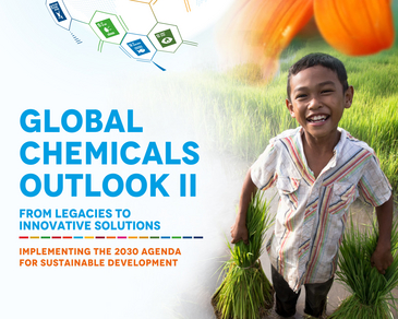 Poster Global Chemicals Outlook II