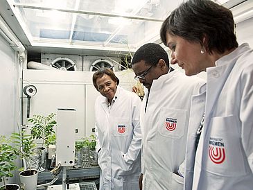 Zwei Frauen und ein Mann betrachten Pflanzen im Labor