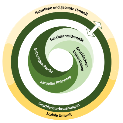 DIVERGesTOOL Geschlechterkonzept: Umwelt