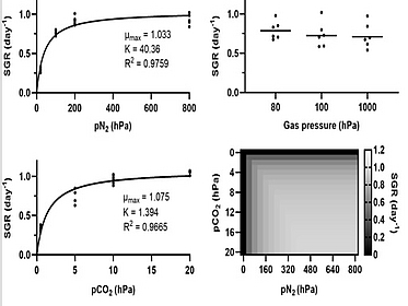 Dependence of cyanobacterium growth and Mars-specific photobioreactor mass on total pressure, pN2 and pCO2 pic