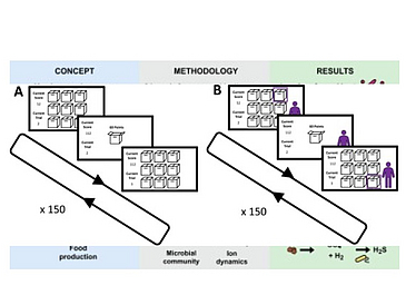 Observational_Learning