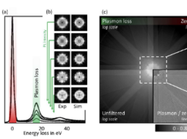 Electron Microscopy Figure