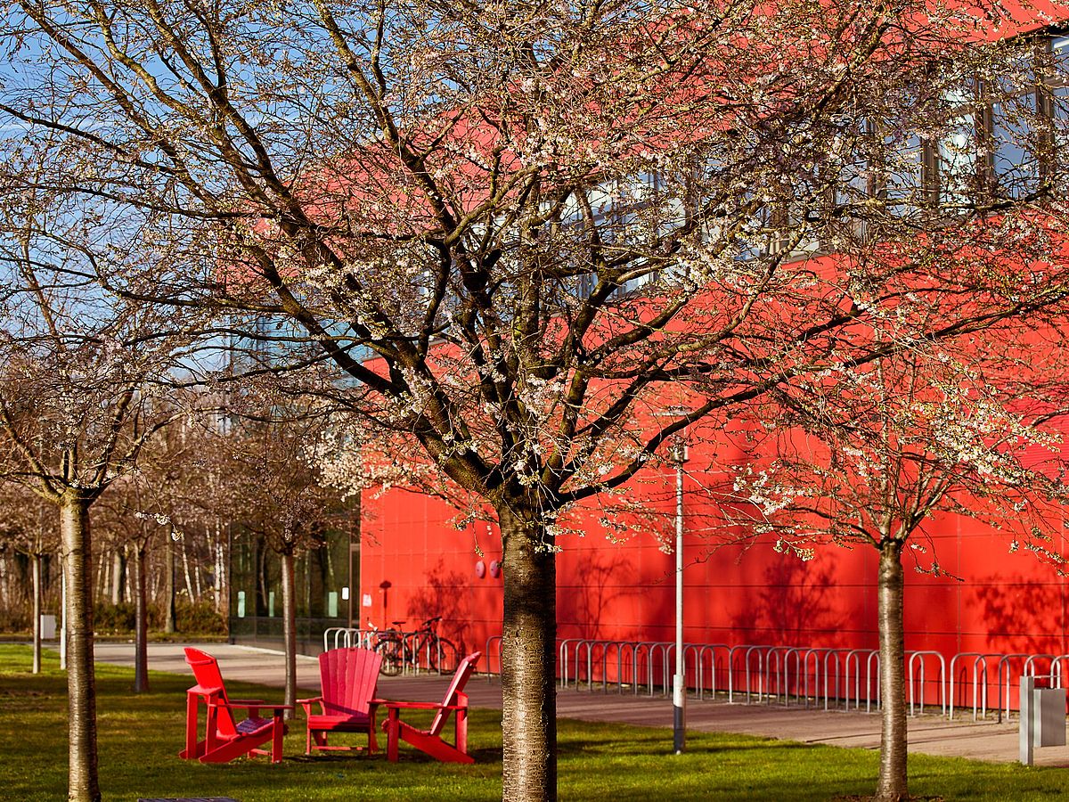 Rote Liegestühle vor der roten Fassade des MZH.