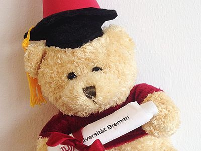 Alumni-Bär