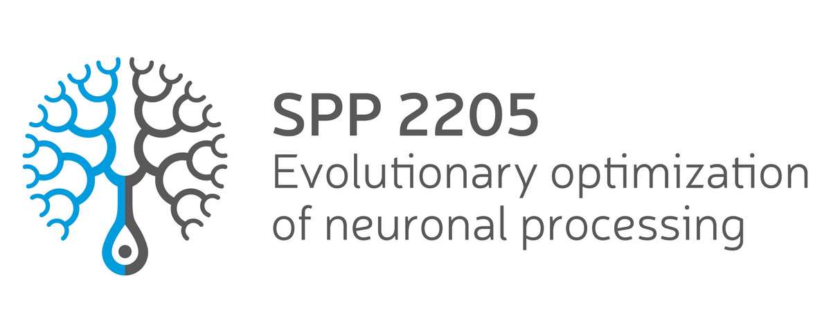 SPP 2205