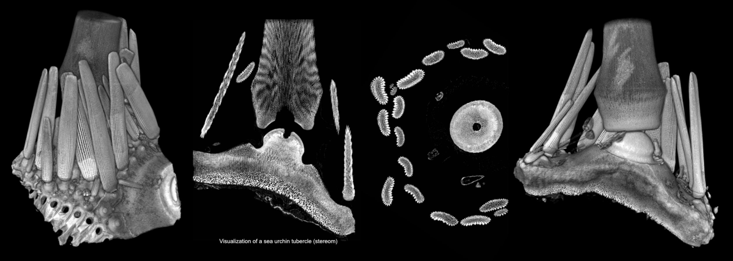 Bildformat_Spacemat_Start