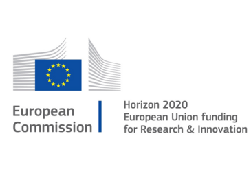 European Commission Horizon