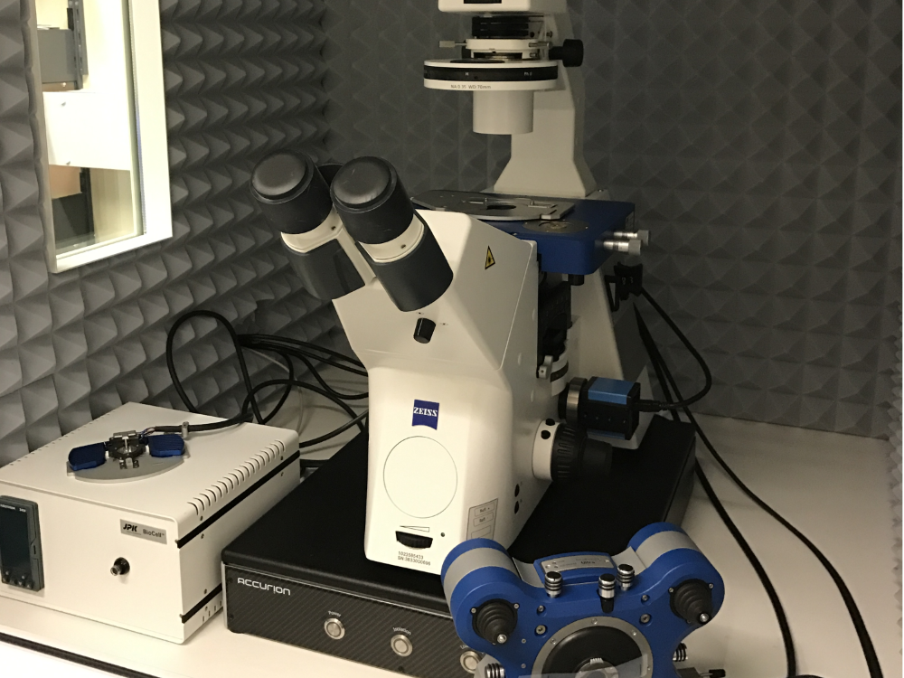 Picture of Instrument - AFM