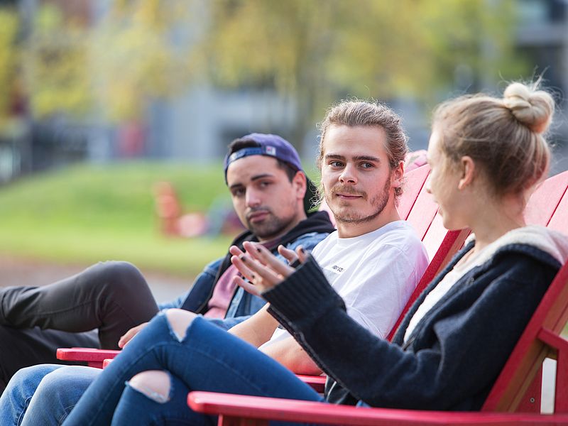 Students on sun loungers in the campus park.
