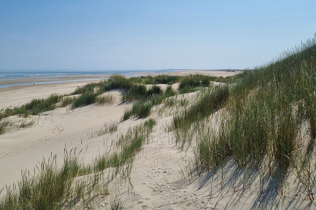 Dune landscape on Spiekeroog