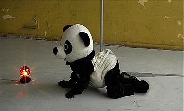 filmstill: kniende Person im Pandabärenkostüm