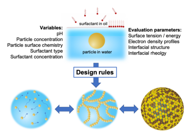 Multiscale analysis of the dynamic interactions of nanoparticles and oil-soluble surfactants at liquid interfaces