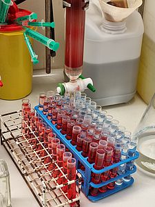 In the picture, you can see a column that is colored red, and below it are test tubes in a holder containing a red liquid.