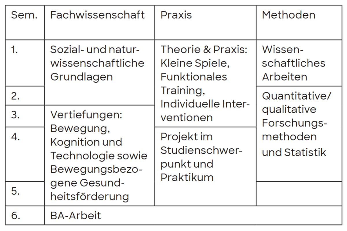 Bild zeigt eine vereinfachte Version des Studienverlaufsplan