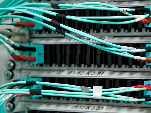 Ein Bild, auf dem viele Netzkabel in einen Server gesteckt sind