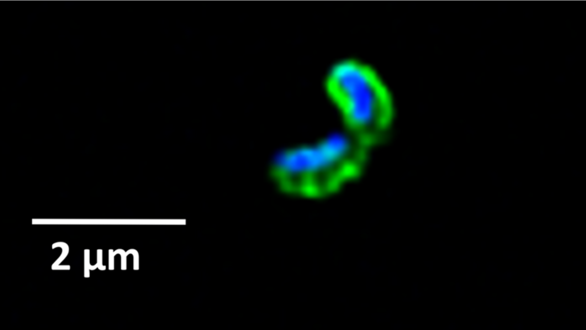 Laura Pareigis und Nahja Busse (MPI, Universität Bremen)