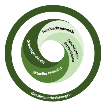 DIVERGesTOOL Geschlechterkonzept: Geschlechterbeziehungen