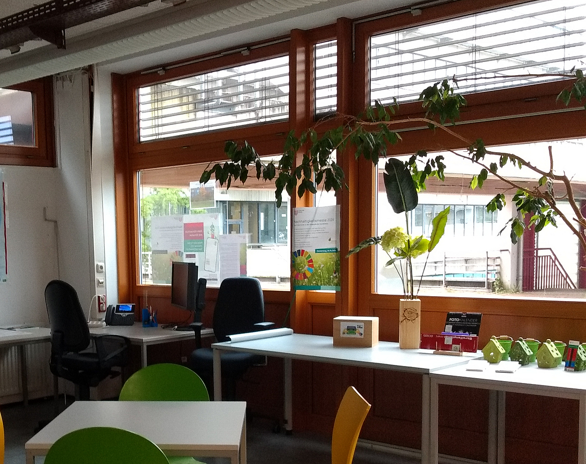 Die Einrichtung des Green Office
