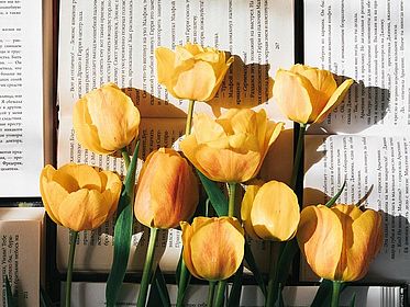 Tulipes sur livre