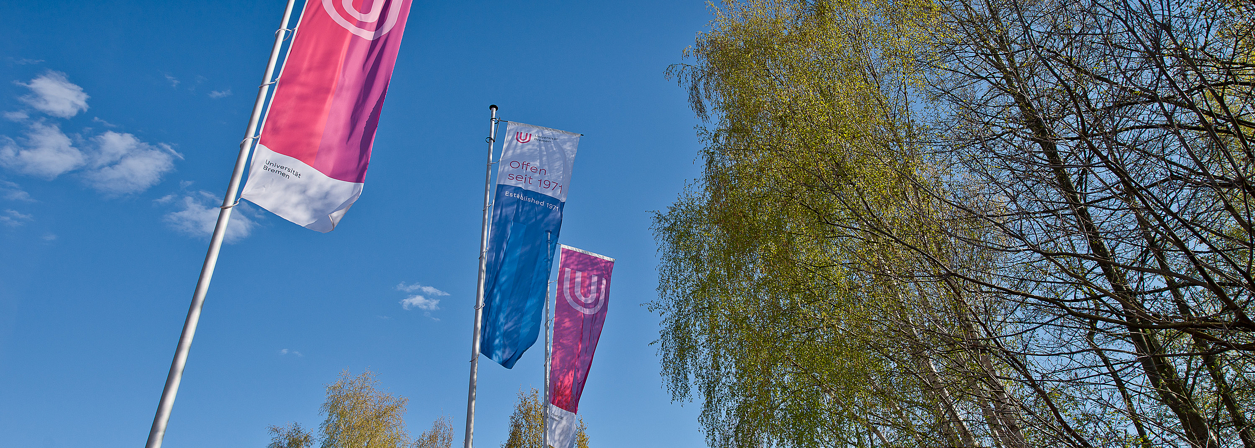 Flaggen der Universität Bremen.