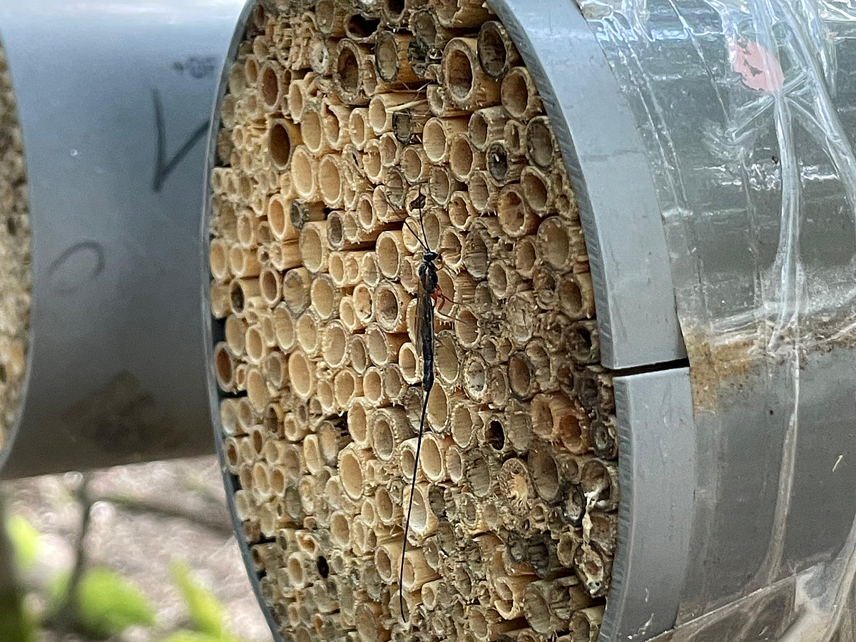 Photo from Projekt Beta - for