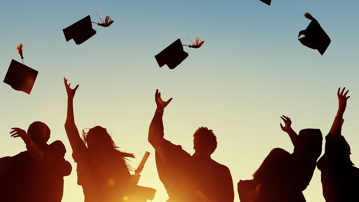 Bild fliegende Huete