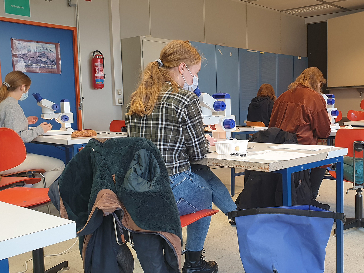 Students in the advanced practical course ecology