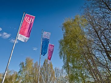 Ein Bild von 3 Flaggen an der Uni