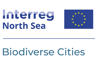 Logo-Text: Interreg North Sea, co-funded by the European Union, Biodiverse Cities
