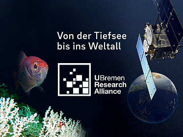 Collage mit Fisch und Satelliten vor dunklem Hintergrund