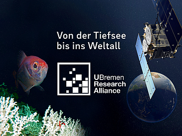 Collage mit Fisch und Satelliten vor dunklem Hintergrund