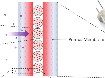 Setup zum Nachweis von Thermal Creep