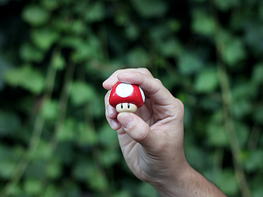 Person hält einen Mario Pilz in die Höhe