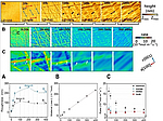 Multiscale investigation of olivine (0 1 0) face dissolution from a surface control perspective pic