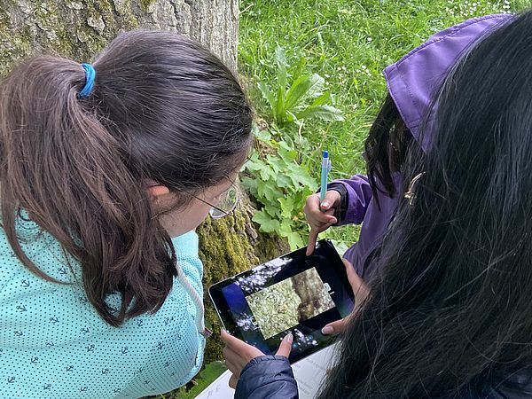 Kinder erforschen die Natur