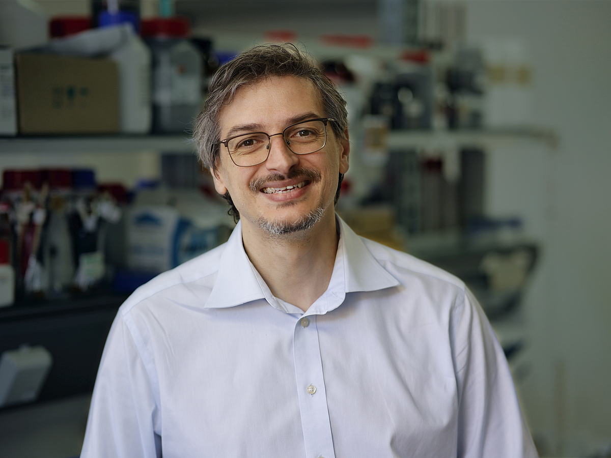 Profilbild Fabio La Mantia