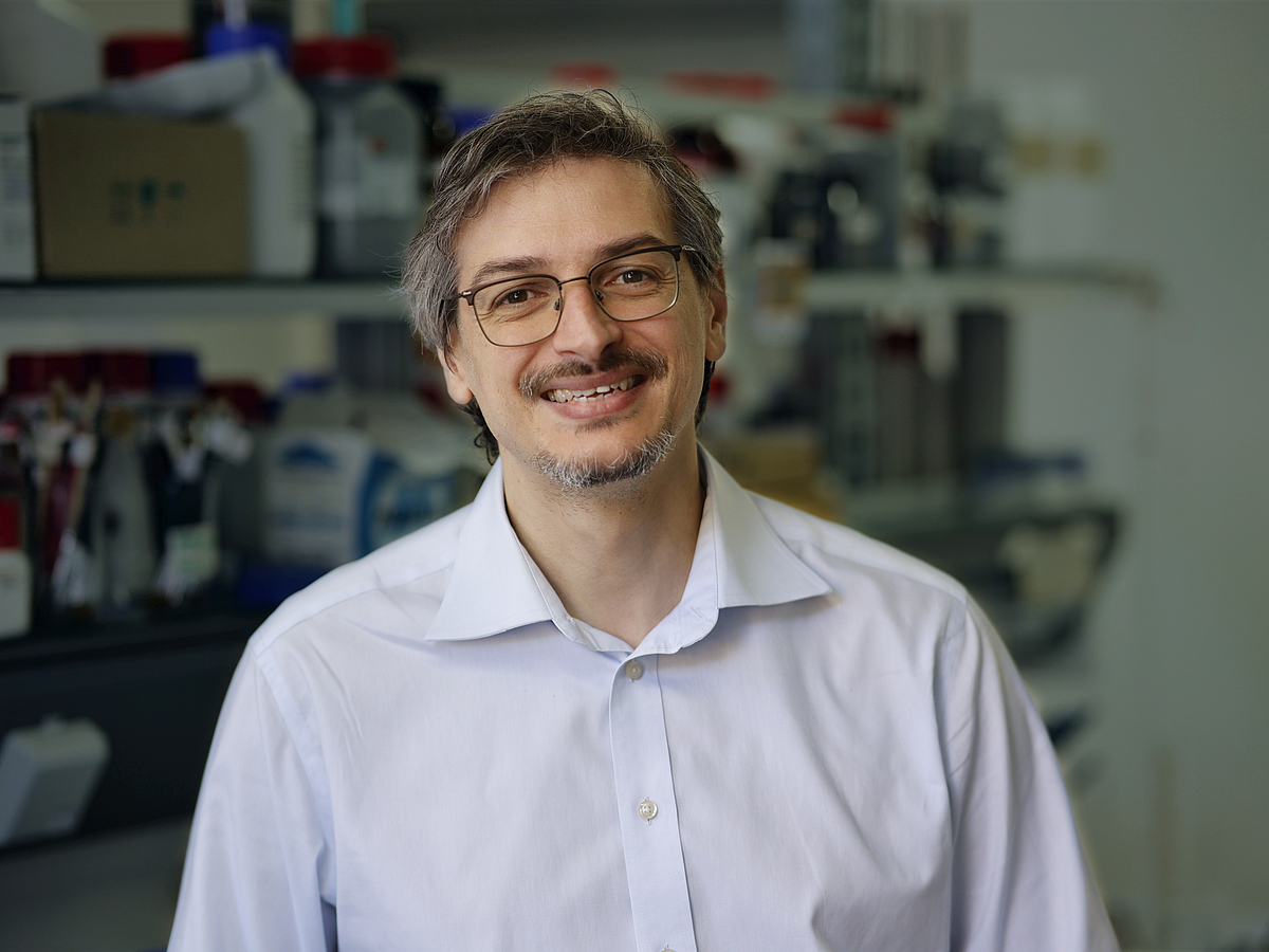 Profilbild Fabio La Mantia