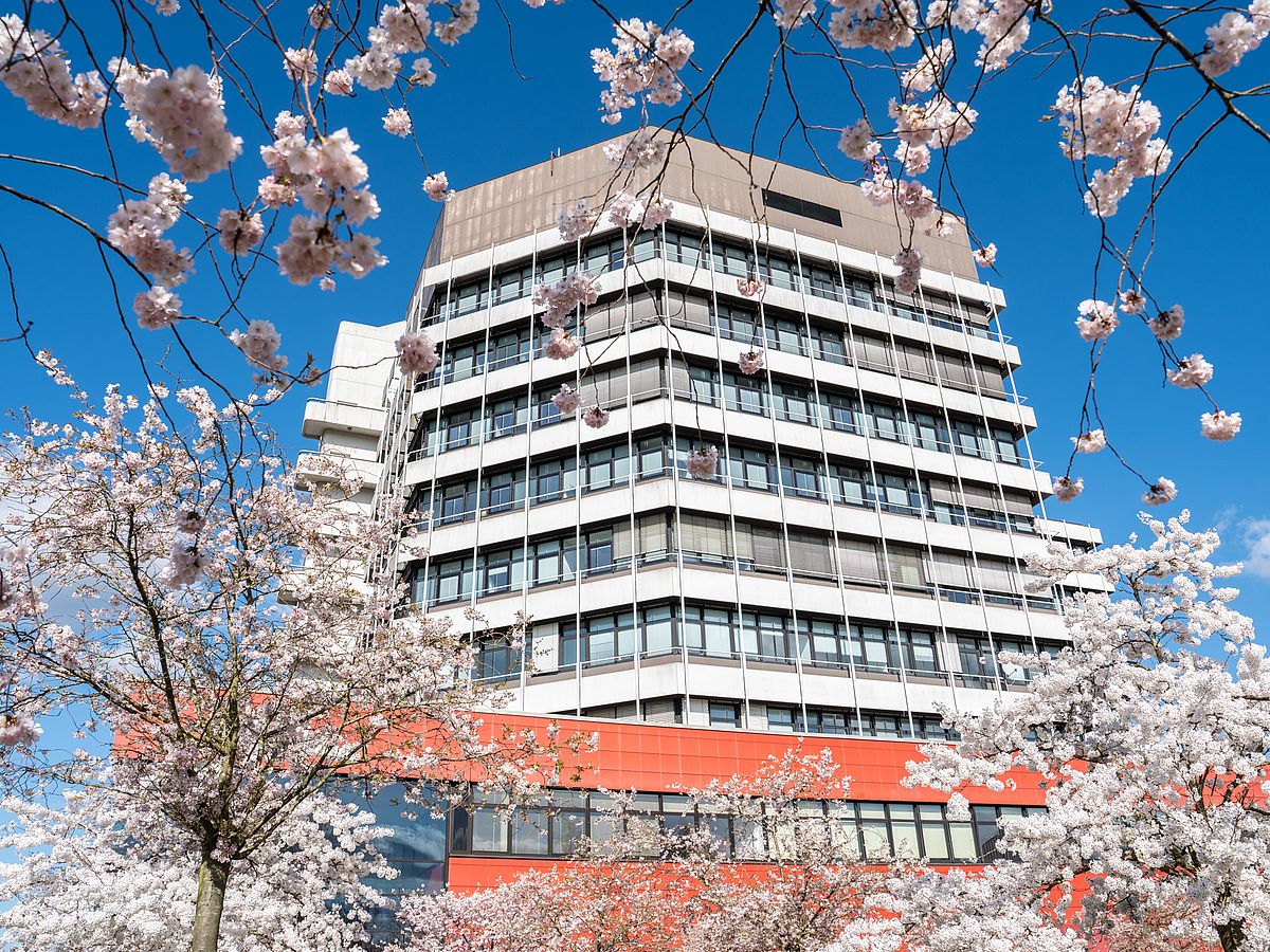MZH-Gebäude im Frühling