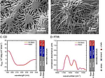 Controlling the Multiscale Structure of Nanofibrous Fibrinogen Scaffolds for Wound Healing pic