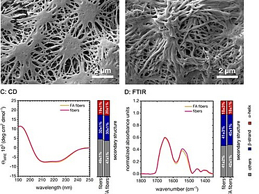 Controlling the Multiscale Structure of Nanofibrous Fibrinogen Scaffolds for Wound Healing pic
