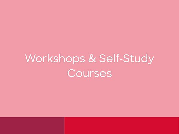 KI basierte Systeme Website - Englisch - Workshops & Selbstlernkurse