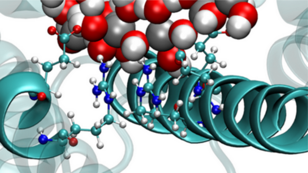 Logo der Arbeitsgruppe Grenzflächen in der Bio-Nano-Werkstofftechnik