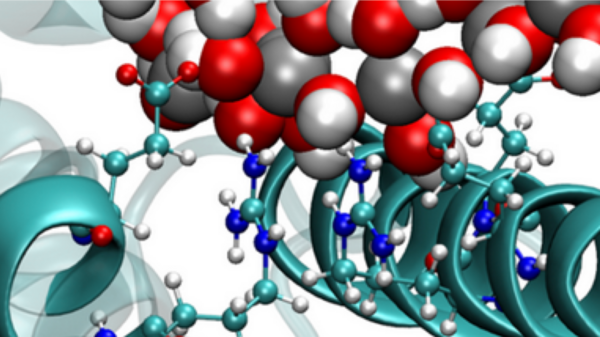 Logo of the Hybrid Materials Interfaces research group