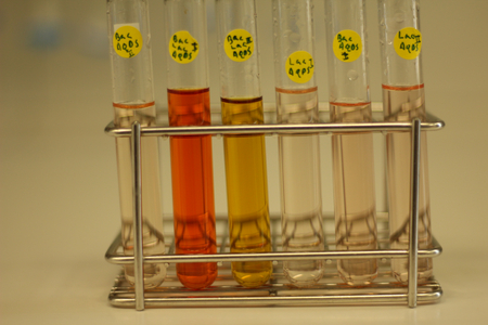 Test tubes with Anthraquinone disulfonate as electron acceptor in anerobic incubations