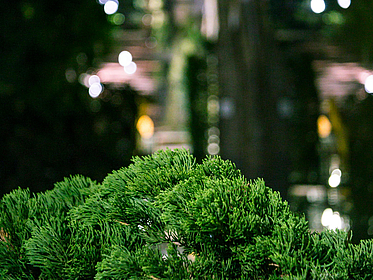 [Translate to English:] 