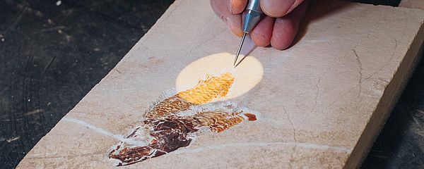 A slab of rock with a flattened fish from Lebanon.