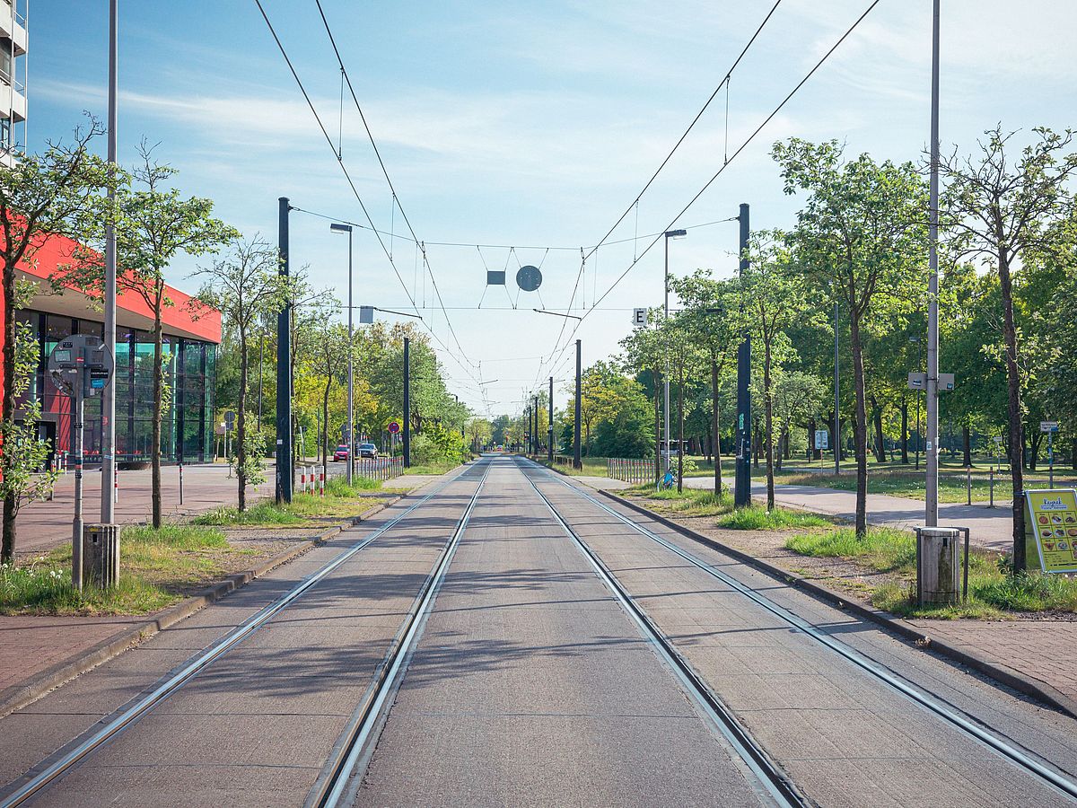 Straßenbahnschienen vor dem Eingang des MZH.